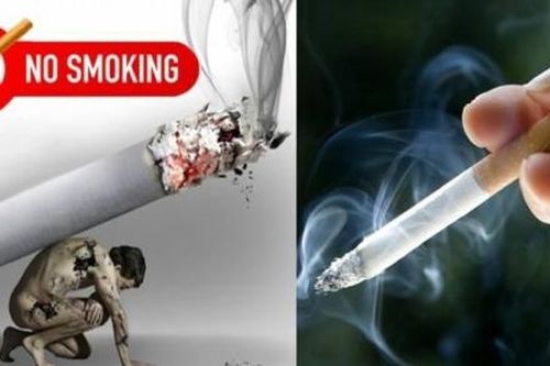 Thuốc lá: Gánh nặng kép cho sức khỏe và kinh tế