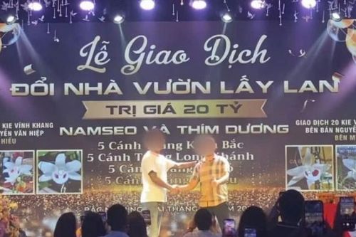 Đổi nhà 20 tỷ lấy lan đột biến, 'cơn sốt' quay trở lại hay chiêu 'lùa gà'?