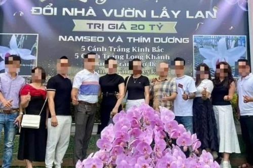 Giao dịch lan đột biến tiền tỷ: Chuyện nực cười từng 'đột tử' vì sao lại được 'hồi sinh' tạo sóng?