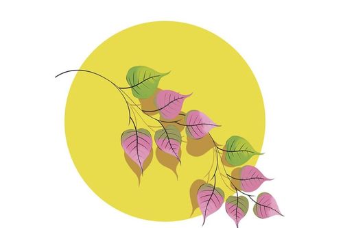 Thơ Phạm Đức Long: Những mùa lá hình tim