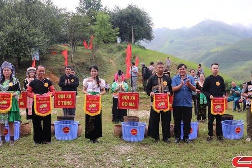 Hội thi hái quả sơn tra