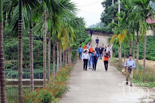 Đập tan âm mưu của tay sai Nhật ở Tân Cương