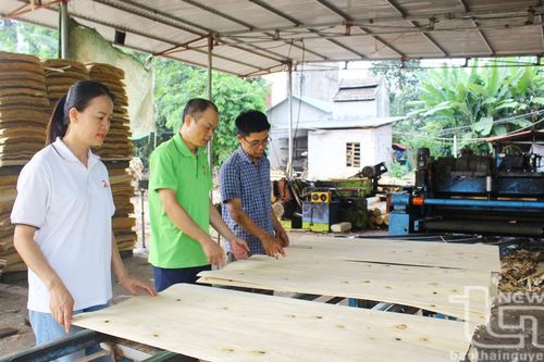 Cây Thị - Đất Anh hùng trên đường đổi mới