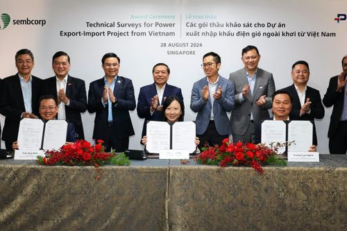 Dự án xuất khẩu điện gió ngoài khơi của Dịch vụ Kỹ thuật Dầu khí (PVS) đạt bước tiến quan trọng