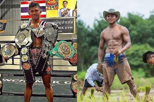 Thánh Muay Thái Lan giàu có nhưng thích lội bùn trồng lúa như nông dân