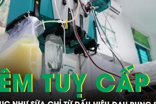 Đau bụng dữ dội người đàn ông cấp cứu hút ra 5 lít huyết tương có màu như sữa