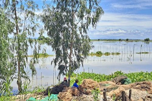 Mưu sinh đầu mùa nước nổi