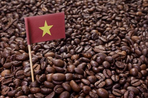 Giá cà phê hôm nay 2/9/2024: Giá cà phê robusta giữ đà tăng mạnh, thị trường có lý do để duy trì ở mức cao