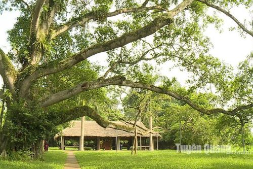 Thủ đô Khu giải phóng: Những ngày cận kề Tổng khởi nghĩa