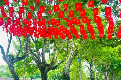 Cố đô Huế rực rỡ cờ đỏ sao vàng chào mừng Quốc Khánh 2/9