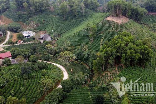 Những mô hình chăn nuôi đem lại giá trị kinh tế cao, giúp người dân thoát nghèo