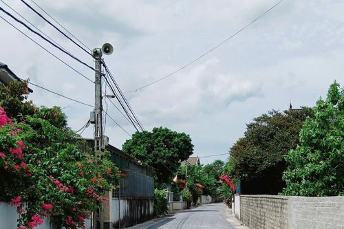 Nghi Lộc: Ý Đảng - lòng dân nối đường hạnh phúc