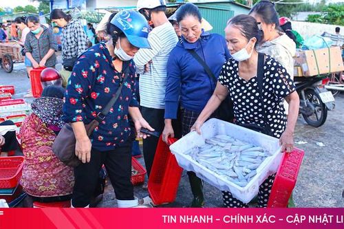 Ngư dân Hà Tĩnh 'gác lễ', phấn khởi vươn khơi khai thác hải sản