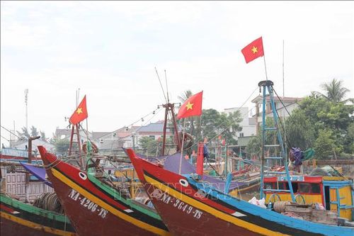 Sắc thắm cờ Tổ quốc điểm tô làng biển