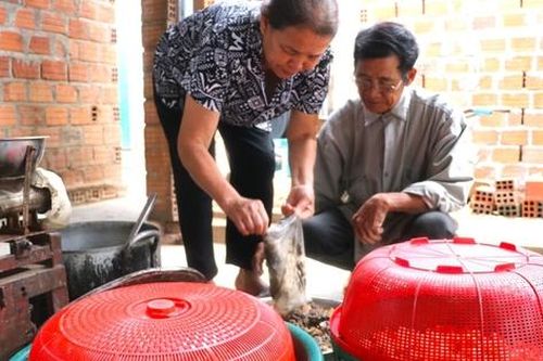 Nuôi con 'mắt lồi' hiền lành mắn đẻ, anh nông dân nhẹ nhàng kiếm 650 triệu/năm