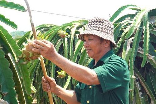 Bản lĩnh người lính của 'đại gia chân đất'