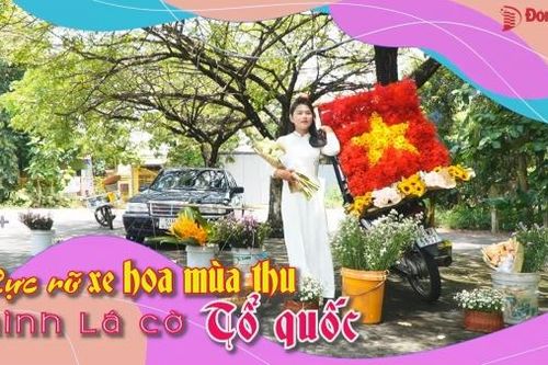 Rực rỡ xe hoa mùa thu hình lá cờ Tổ quốc