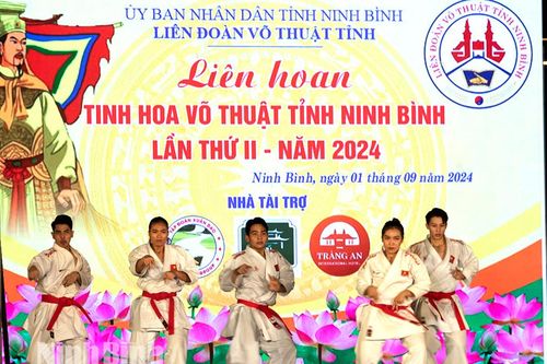 Liên hoan tinh hoa võ thuật Ninh Bình lần thứ 2