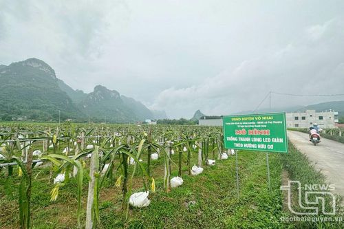 Nông nghiệp xanh - xu hướng tất yếu