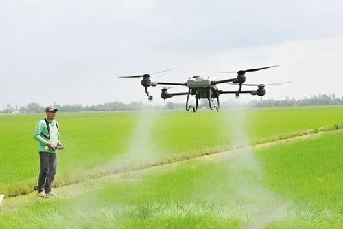 Thúc đẩy phát triển nền kinh tế xanh theo hướng bền vững