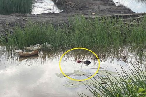 Lần theo vệt bánh xe trên đường, phát hiện thi thể dưới mương nước