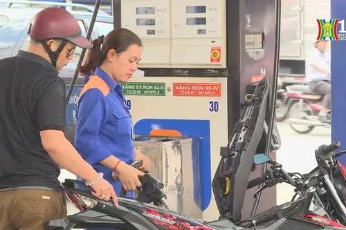 Lãi nửa đầu năm 2024 của Petrolimex gấp đôi cùng kỳ