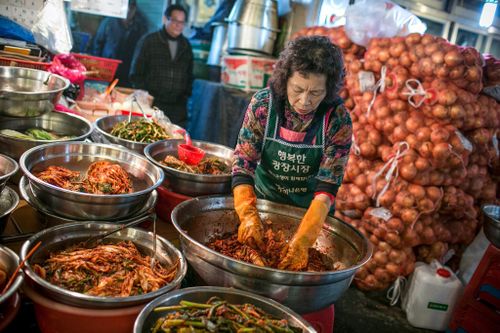 Kim chi Hàn Quốc gặp khủng hoảng