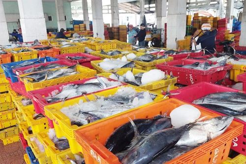 Giá hải sản tại TP Vũng Tàu tăng