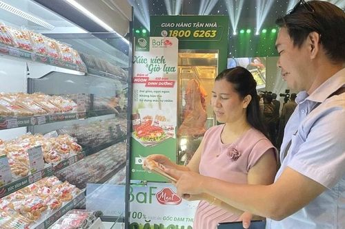 Giá heo hơi hôm nay 3/9: Duy trì ổn định; Thái Bình tập huấn phòng, chống dịch bệnh trên đàn heo