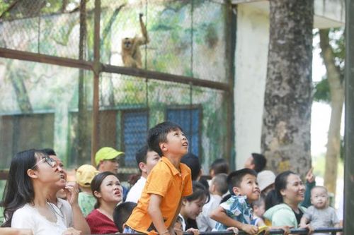 Hơn 70 nghìn lượt khách đổ về Vườn thú Hà Nội trong 4 ngày nghỉ Lễ Quốc khánh