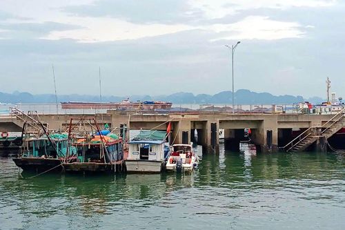 Xuồng cao tốc 'nhiều không' chở khách tham quan Vịnh Hạ Long