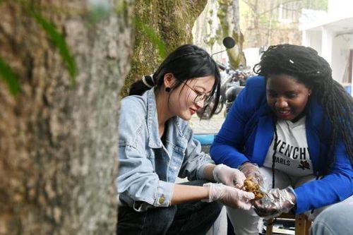 Công nghệ 'cỏ hạnh phúc' giúp nông dân đổi đời