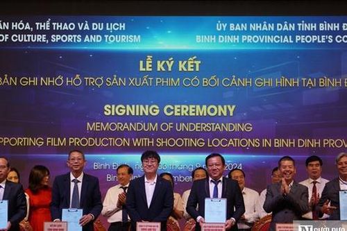 Nhiều nhà sản xuất hợp tác với Bình Định để làm phim