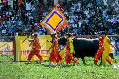 Dâng hương, thượng cờ khai hội chọi trâu Đồ Sơn 2024