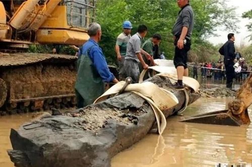 Lão nông 'vớt' được khúc gỗ đen xì có mùi thơm lạ bên ven sông: Lộ diện 'thần mộc' ngàn năm tuổi cực quý hiếm giá gần 1.800 tỷ