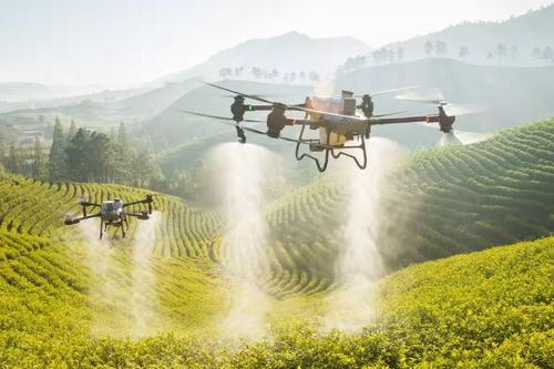 Trung Quốc ứng dụng UAV trong nông nghiệp, giải quyết tình trạng thiếu hụt lao động