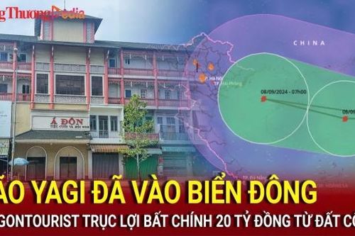 Saigontourist trục lợi 20 tỷ đồng từ đất công; Bão Yagi đã vào Biển Đông