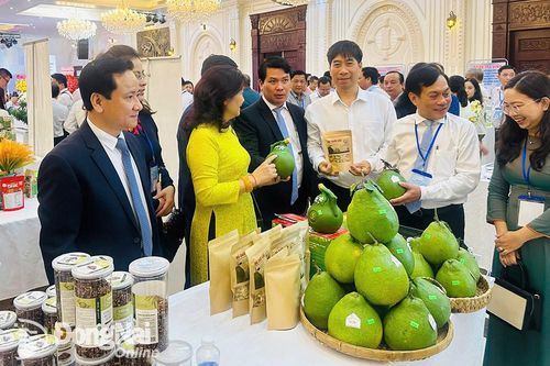 Đồng Nai tham gia hội nghị kết nối giao thương với các thành phố trực thuộc Trung ương tại Cần Thơ