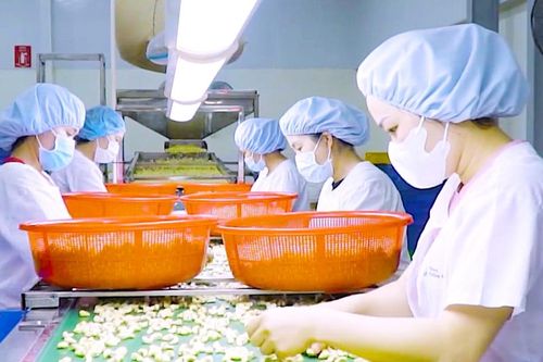 Ban Quản lý Khu Kinh tế tỉnh Gia Lai khẳng định vai trò trợ lực cho doanh nghiệp