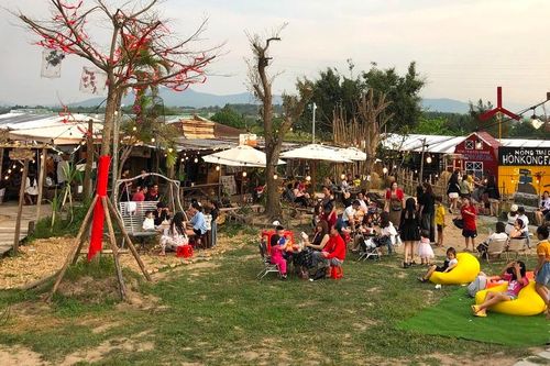 Các homestay, farmstay ở Gia Lai hút khách dịp lễ