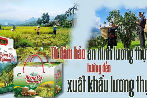 Từ đảm bảo an ninh lương thực hướng đến xuất khẩu lương thực