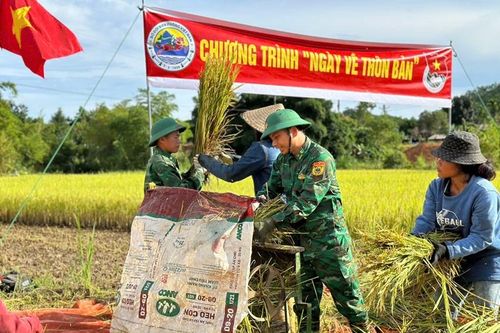 Giúp người dân biên giới thu hoạch lúa