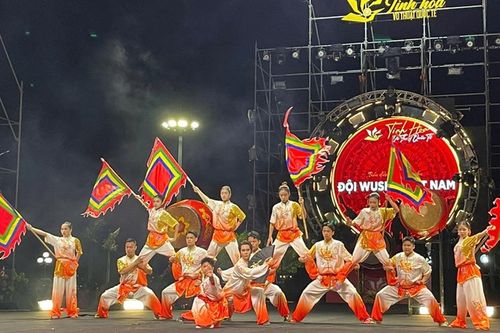 Trình diễn 'Tinh hoa võ thuật quốc tế' trên vùng đất võ Bình Định
