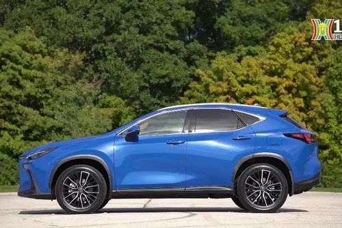Gọi sửa chữa hơn 600 xe Lexus tại Việt Nam
