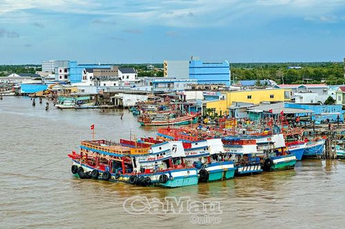 Doanh nghiệp đồng hành chuyển đổi số