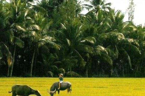 Hai điểm nhấn trong 'Hương quê'