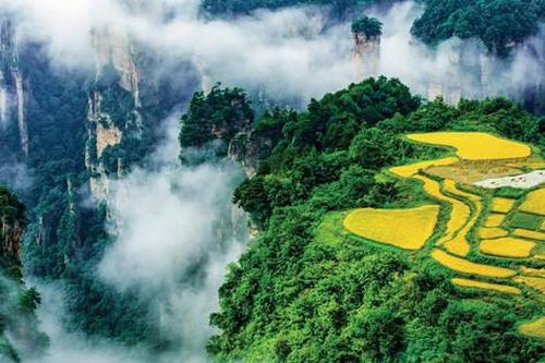 Trương Gia Giới - tiên cảnh nơi trần thế