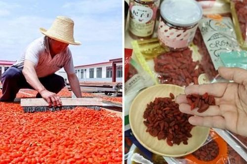 Trước thông tin quả kỷ tử bị nhiễm hóa chất độc hại, Trung Quốc tiến hành điều tra