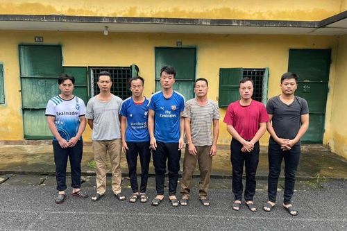 Nhận đơn hàng của gã thợ mộc, nhóm 'lâm tặc' vào rừng chặt phá gỗ
