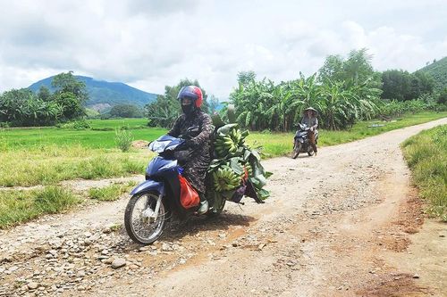 Dự án đường cứu hộ, cứu nạn dang dở